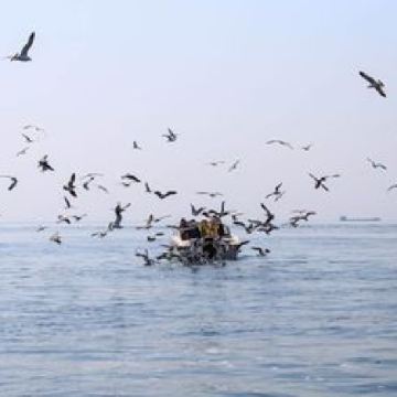 大连+沈阳4日3晚私家团