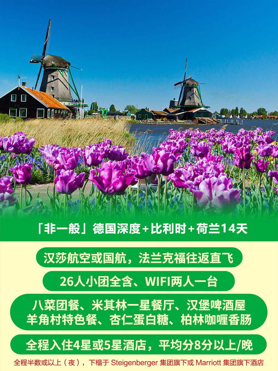 德国+比利时+荷兰14日跟团游·【非一般系列