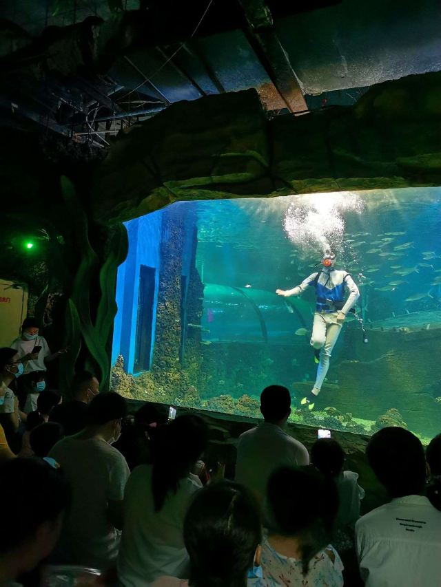 嘉兴海底世界海洋馆图片