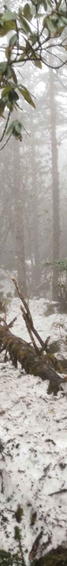 海螺沟冰川索道-泸定