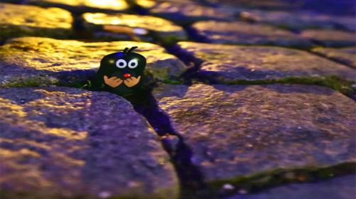 捷克布拉格+卡罗维发利+克鲁姆洛夫+奥地利维