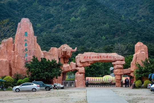 赏花游·广东清远2日1晚跟团游(4钻)·观玻璃桥 花卉小镇 赏禾雀花