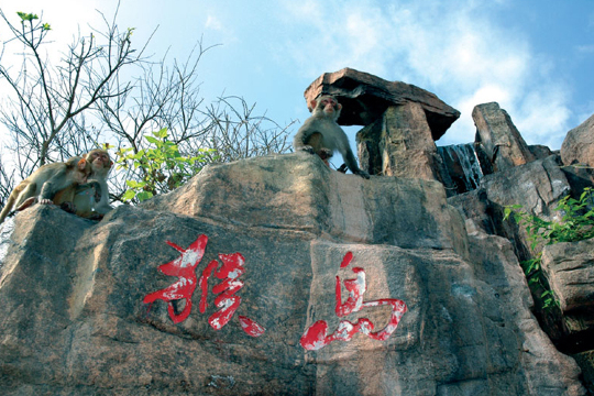 海南海口 三亚5日4晚跟团游·无自费景点丨徜徉3大海湾丨赠3大娱乐
