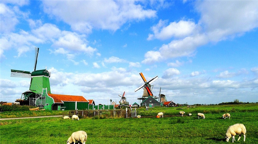 【携程攻略】郑州到阿姆斯特丹旅游报价,郑州