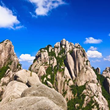 黄山风景区+宏村景区+西递2日1晚跟团游