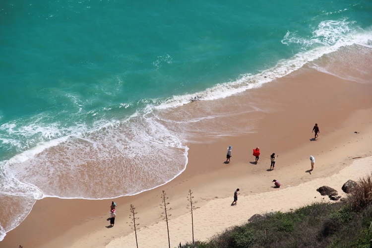 漳州3日2晚跟团游·纯玩无购物 高铁3天 云水