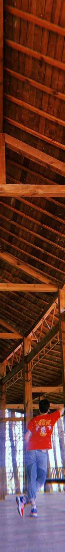 溱湖国家湿地公园-泰州