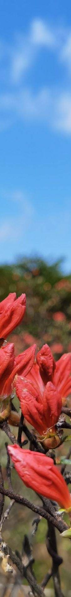 大围山国家森林公园-浏阳