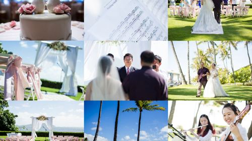 戚薇同款婚纱_戚薇同款发型(2)