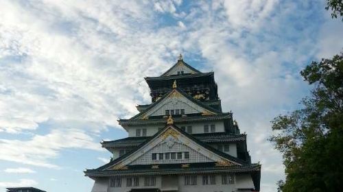 日本东京都+大阪府+京都府+富士山8日7晚跟团