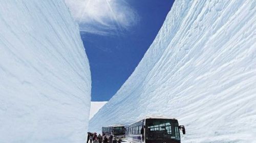 赏花游·日本大阪+富山县+长野县2日1晚跟团