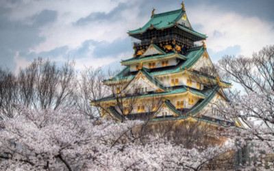 赏枫游·大阪+京都+札幌+登别+小樽+东京+箱