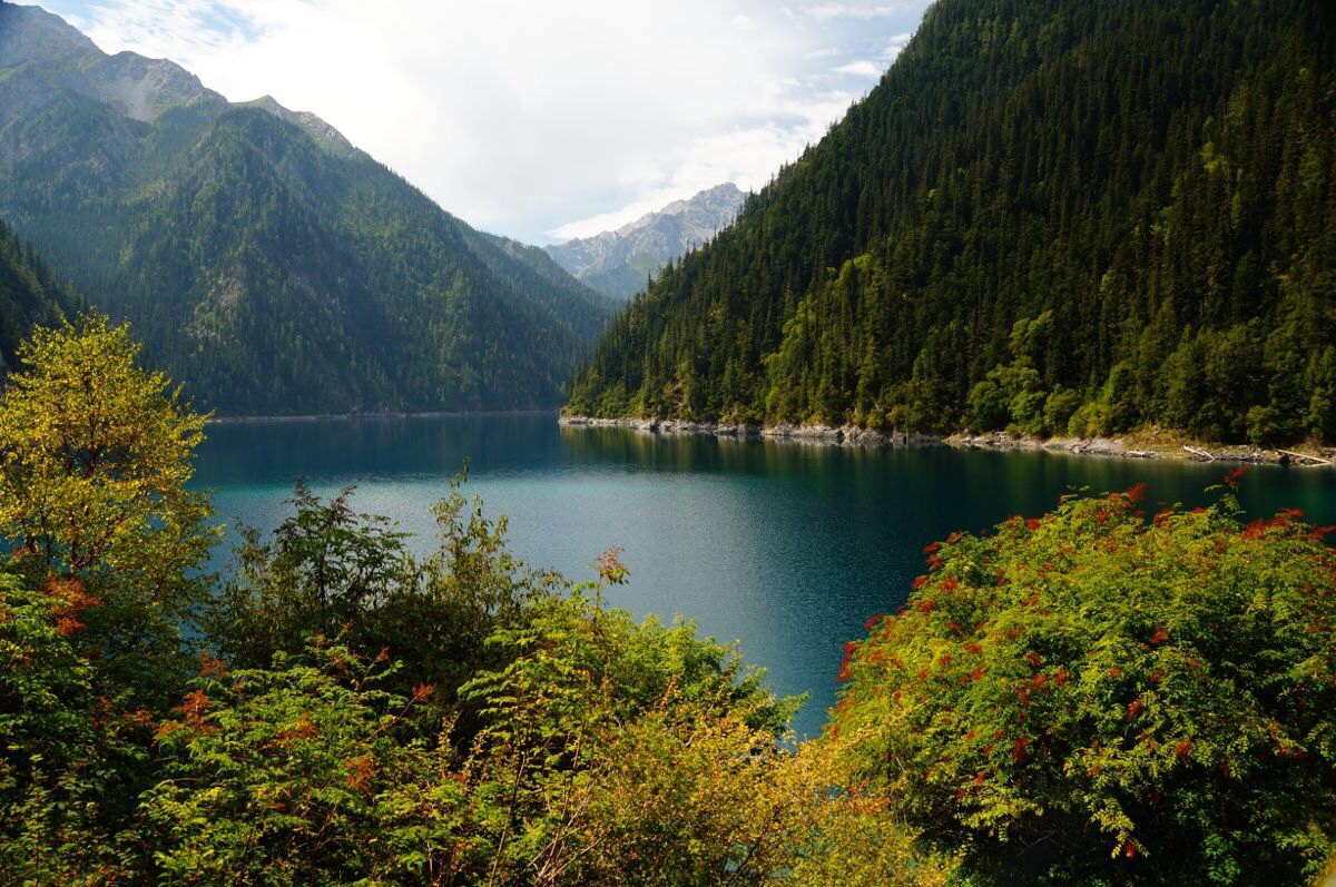 上海到九寨沟