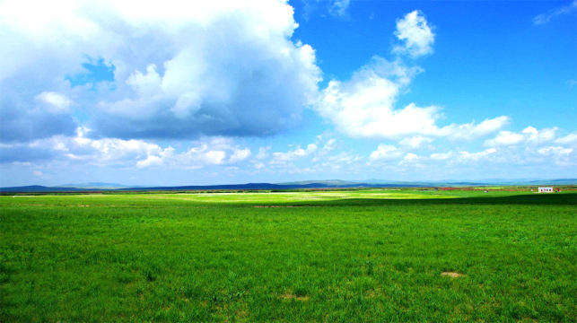 内蒙古包头 希拉穆仁草原2日1晚跟团游·踏歌敕勒川,纵情大草原,体验