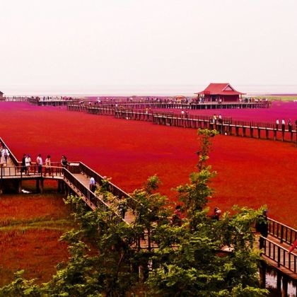 大连+红海滩国家风景廊道+丹东+沈阳6日5晚拼小团