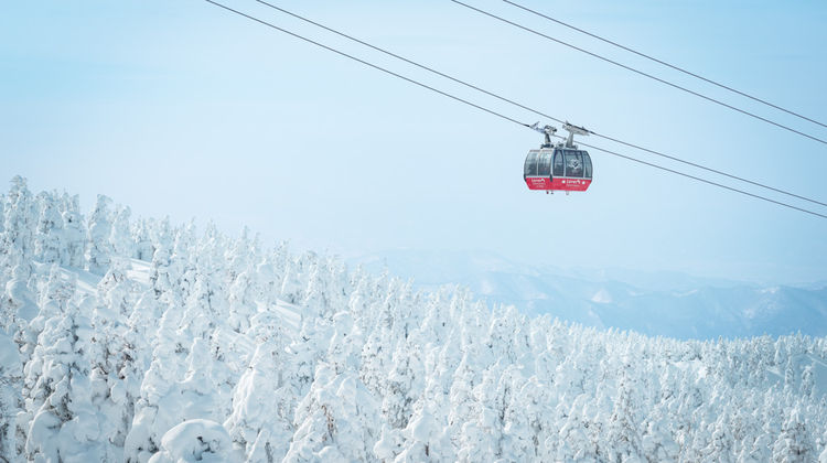 日本仙台 藏王温泉 銀山温泉 山形8日自由行 滑雪 东北连线 3晚藏王度假村 1晚银山温泉 1晚山形 2晚仙台 藏王树冰东北粉雪畅滑银山温泉 泡汤观雪景日本三景松岛观光