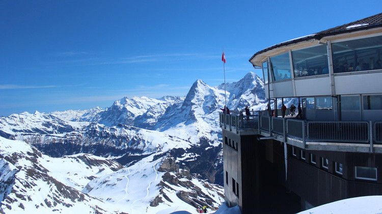 南快签【A线卢浮宫+菲斯特雪山+塞纳河游船】