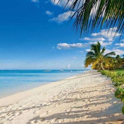 斯里兰卡+马尔代夫9日7晚跟团游