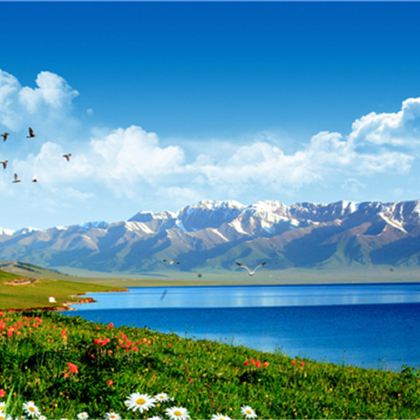 新疆北疆+伊犁+伊宁市+那拉提旅游风景区+巴音布鲁克草原+赛里木湖5日4晚私家团