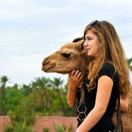 摩洛哥12日11晚私家团