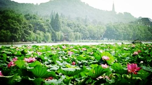 上海+杭州2日1晚跟团游·无强制消费 【登东方