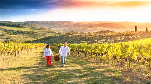 人文探秘·西班牙百年酒庄 . 资深品酒师带队+