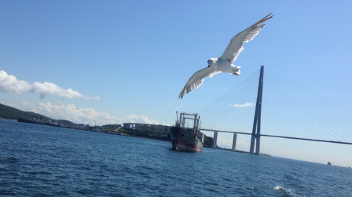 俄罗斯海参崴4日3晚跟团游·【一本护照】【