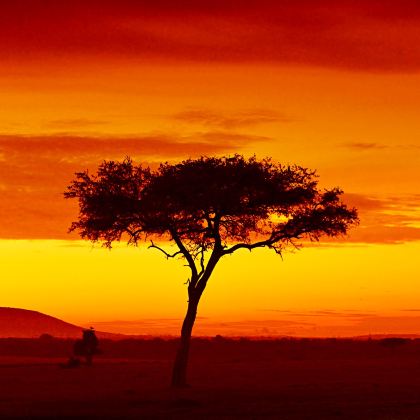 肯尼亚10日7晚跟团游