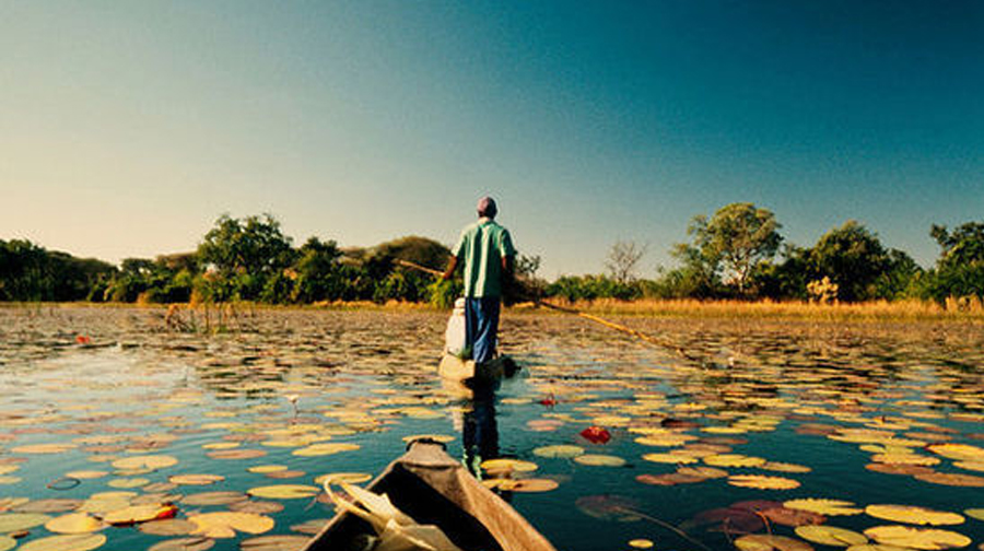 津巴布韦+赞比亚+纳米比亚+博茨瓦纳+埃塞俄