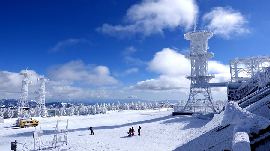 滑雪·日本长野2天1晚·98年冬奥会举办地志贺高原粉雪畅滑(东京出发)