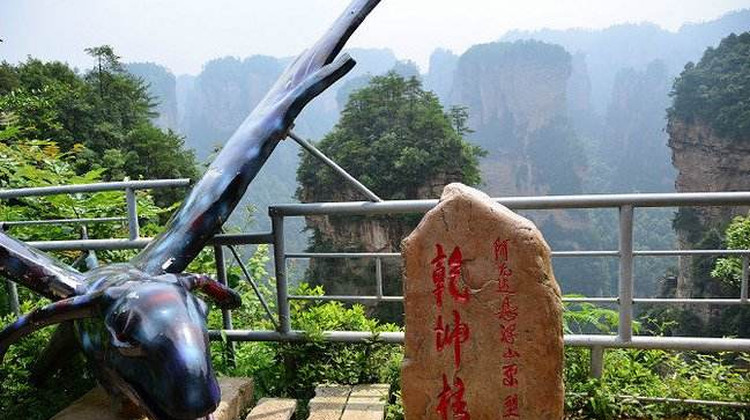 张家界+天门山+湘西土家族苗族自治州+凤凰4日3晚跟团游·18人小团《阿凡达》取景地【袁家界】扩大的盆景【天子山】天门山【索道往返】挑战【玻璃栈道】地下龙宫【黄龙洞】《西游记》取景地【宝峰湖】+凤凰古城
