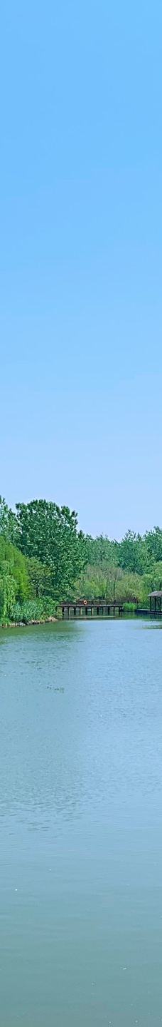 溱湖国家湿地公园-泰州