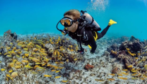 潜水·【世界潜水圣地布纳肯+西拉登深潜，一对一教练指导，高空滑翔伞，高端海边酒店】北纬1的翡翠般“玻璃海” 美娜多6天精选私制小团+海豚湾逐海豚+白沙岛戏水+免签证海岛+多地出发【蜜月.亲子+纯玩】