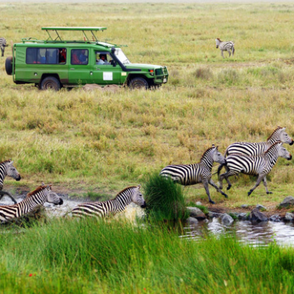 户外野奢·坦桑尼亚乞力马扎罗山+马拉河+塞伦盖蒂国家公园+恩戈罗恩戈罗火山口+塔兰吉雷国家公园+Serengeti Balloon Safaris10日8晚半自助游