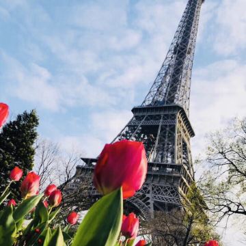 德国+法国+瑞士+意大利12日跟团游