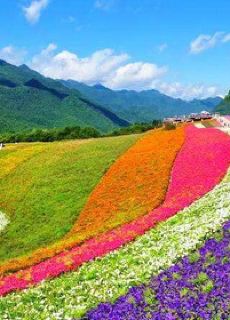 北海道旅游线路精选 携程旅游