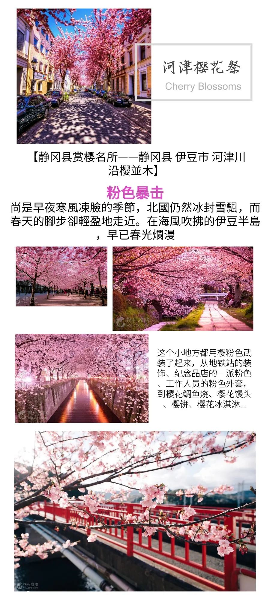 日本东京 伊豆6日自由行 樱花祭私家专车专导 含接送机 伊豆包车3日赏樱路线 箱根打卡 1晚修善寺温泉体验 1晚东伊豆望海泡温泉 双温泉 行程奇景大室山纵贯伊豆半岛深度游