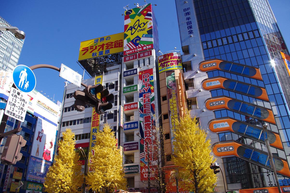 賞楓遊·日本大阪 京都 富士山 東京6日5晚跟團遊·河口湖楓葉迴廊