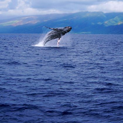 美国夏威夷瓦胡岛9日7晚私家团