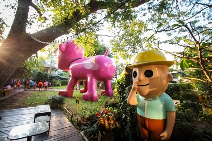 导游很好,住宿条件有,泰国清迈5日4晚私家团(4