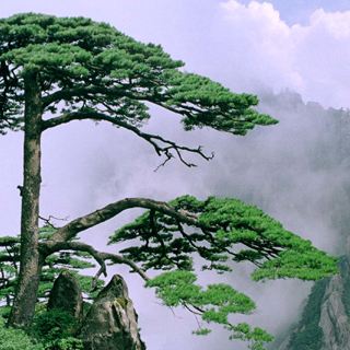 黄山风景区回音壁攻略-回音壁门票价格多少钱-团购票价预定优惠-景点