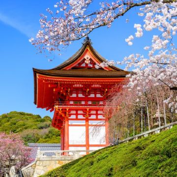 日本大阪+京都+奈良+东京+富士山6日跟团游