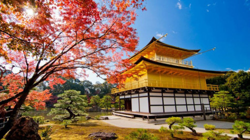 日本东京+富士山+箱根+京都+大阪6日5晚跟团