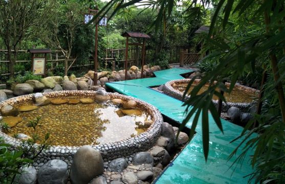 清远银盏温泉宾馆 银盏森林温泉 双早 双人无限次银盏森林温泉·清远