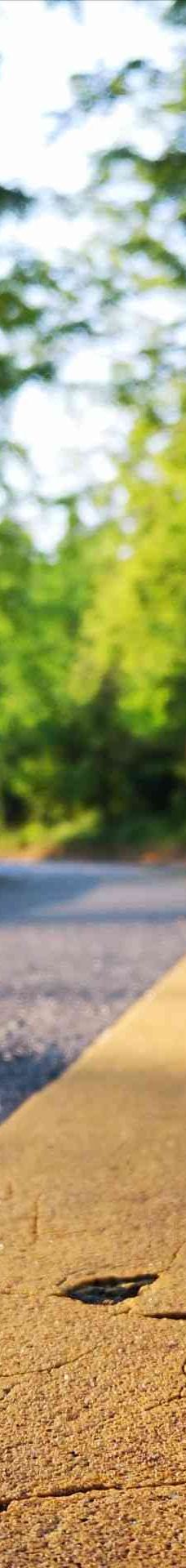 武当山风景区-丹江口