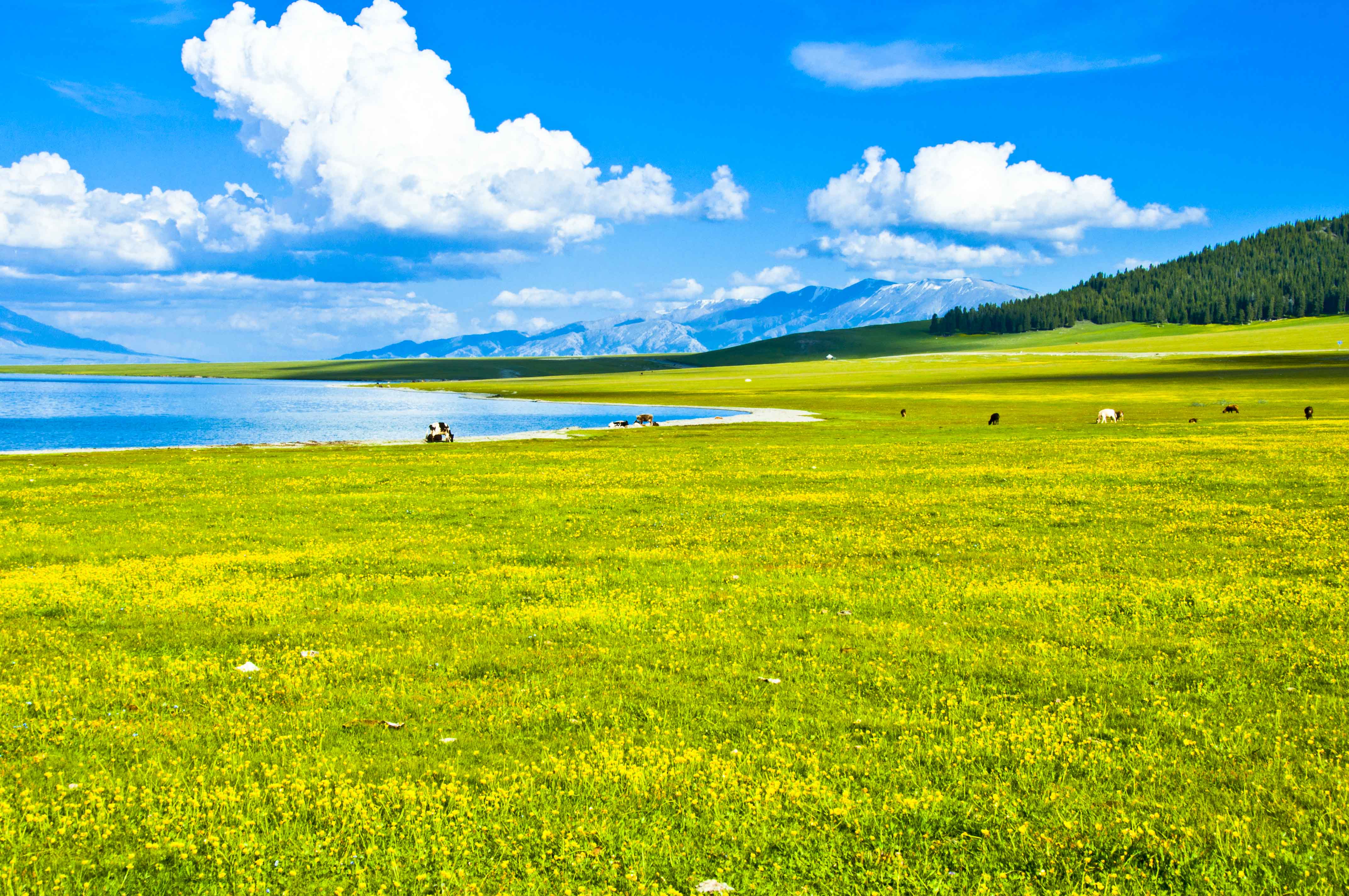 摄影团旅游(摄影团旅游的缺点有哪些)