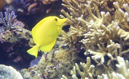 日本大阪+京都+伊势市6日自由行·【温泉Min