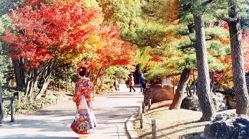 日本大阪+东京+京都+富士山6日5晚跟团游·【