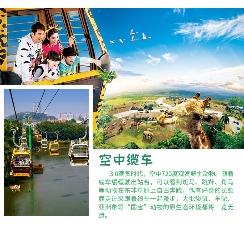 熊猫自助下单平台的简单介绍