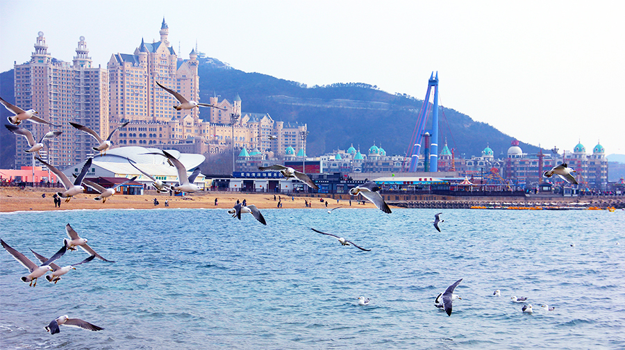 3日2晚跟团游(4钻)·【20人精致小团】大连必吃海鲜餐,扬帆出海喂海鸥